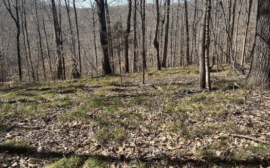 Lot for Sale in Ashland City, TN 37015 – 1 Bedroom, 1 Bath – $150000